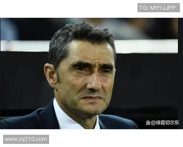 专访张芳：揭示足球领域成功背后的秘密与经验分享