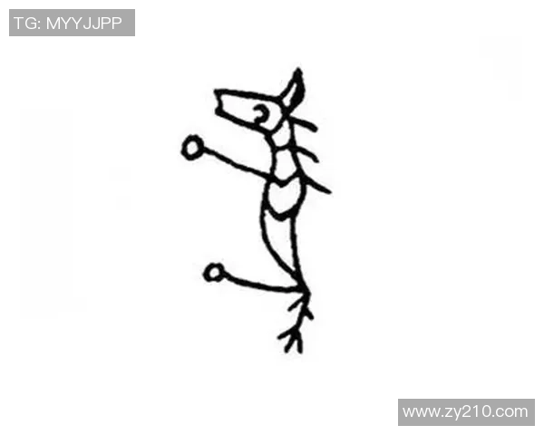 汉字演变与足球明星的奇妙结合探索之旅